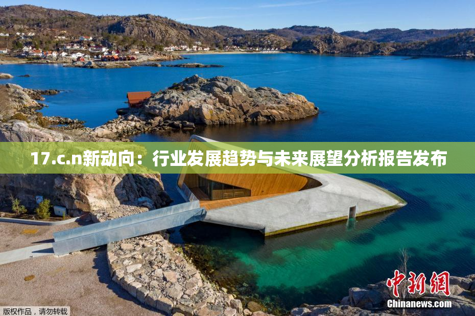 17.c.n新动向：行业发展趋势与未来展望分析报告发布