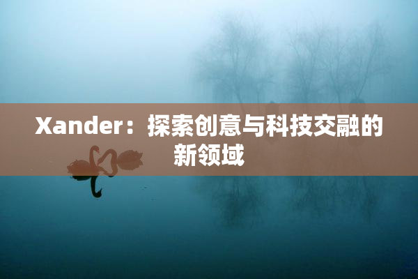 Xander：探索创意与科技交融的新领域