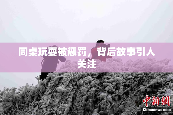 同桌玩耍被惩罚，背后故事引人关注