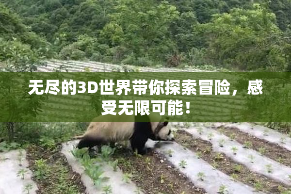 无尽的3D世界带你探索冒险，感受无限可能！