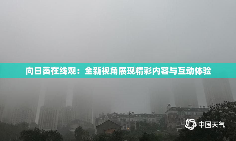 向日葵在线观：全新视角展现精彩内容与互动体验