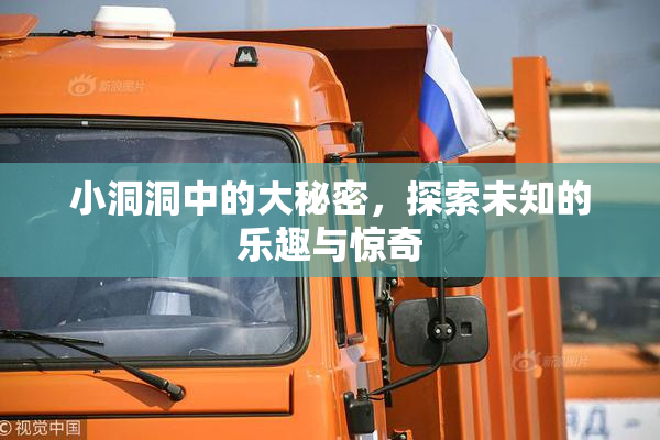 小洞洞中的大秘密，探索未知的乐趣与惊奇