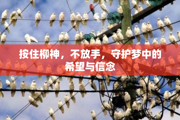 按住柳神，不放手，守护梦中的希望与信念