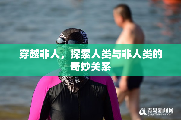 穿越非人，探索人类与非人类的奇妙关系