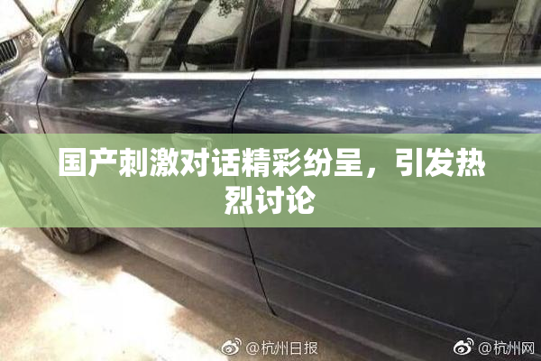 国产刺激对话精彩纷呈，引发热烈讨论