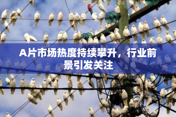 A片市场热度持续攀升，行业前景引发关注