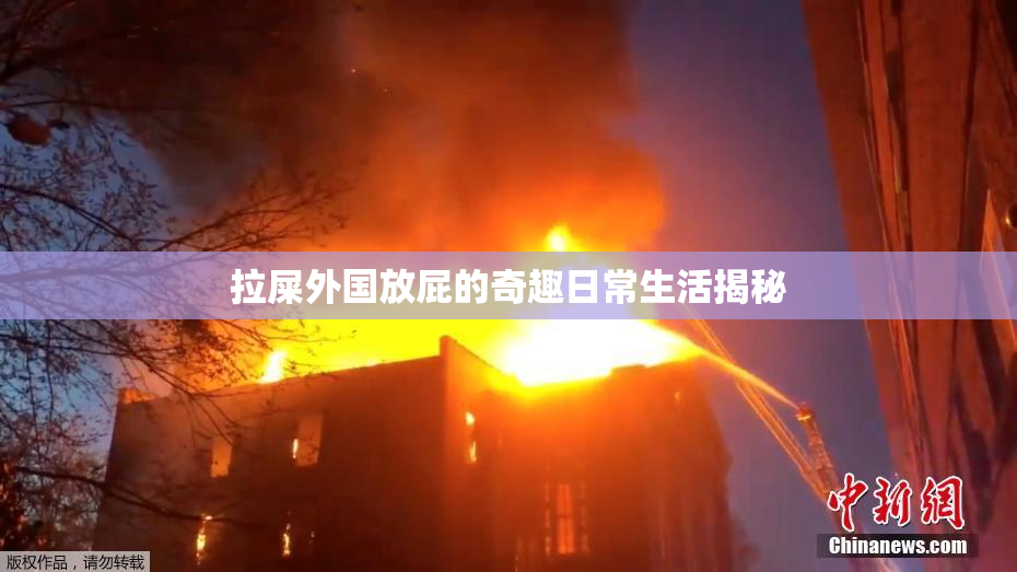 拉屎外国放屁的奇趣日常生活揭秘