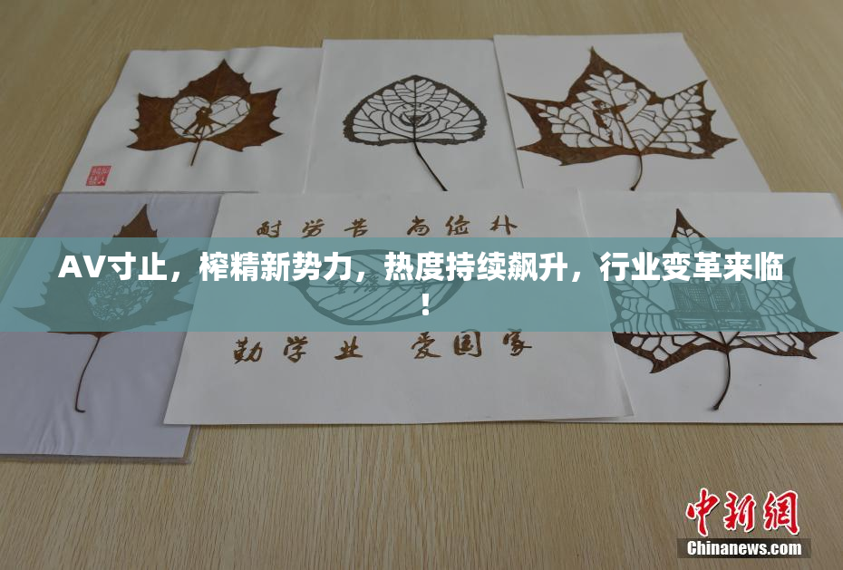 AV寸止，榨精新势力，热度持续飙升，行业变革来临！