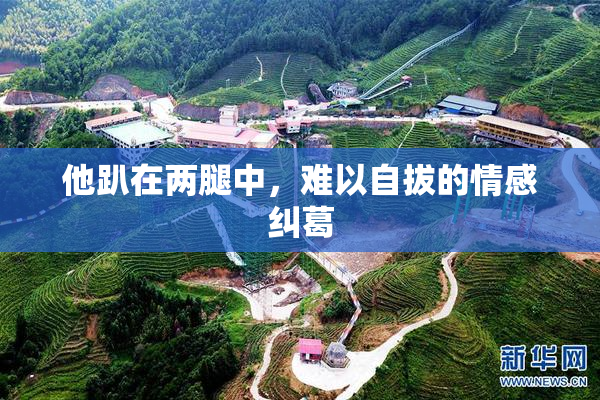 他趴在两腿中，难以自拔的情感纠葛