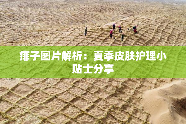 痱子图片解析：夏季皮肤护理小贴士分享