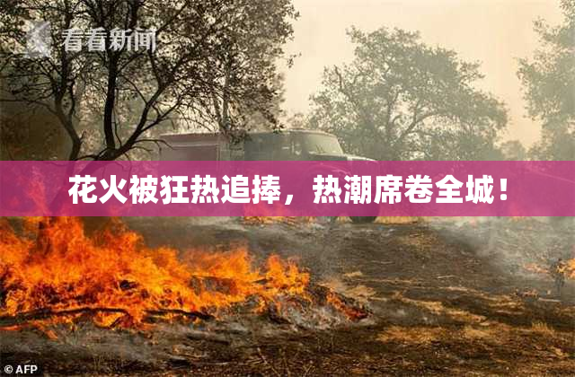 花火被狂热追捧，热潮席卷全城！