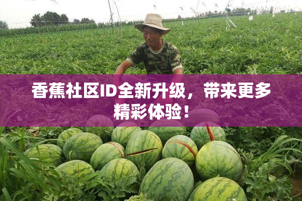 香蕉社区ID全新升级，带来更多精彩体验！