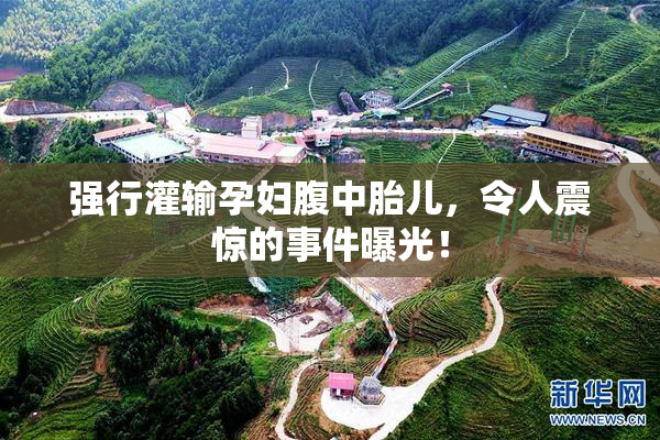 强行灌输孕妇腹中胎儿，令人震惊的事件曝光！