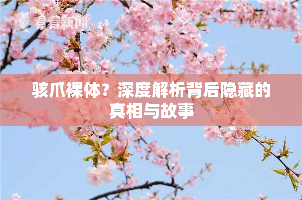 骇爪裸体？深度解析背后隐藏的真相与故事