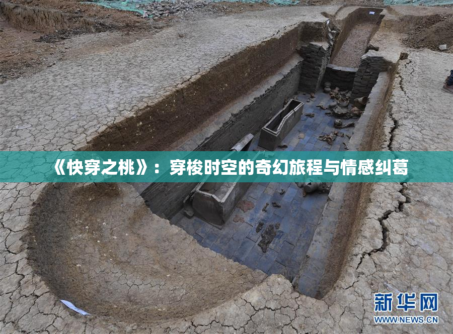 《快穿之桃》：穿梭时空的奇幻旅程与情感纠葛