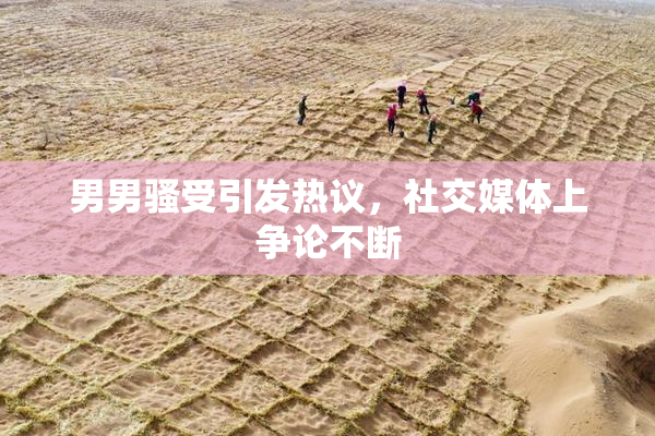 男男骚受引发热议，社交媒体上争论不断