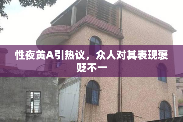 性夜黄A引热议，众人对其表现褒贬不一