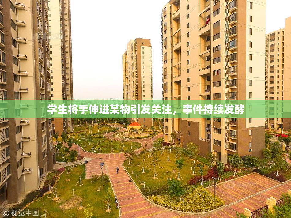 学生将手伸进某物引发关注，事件持续发酵