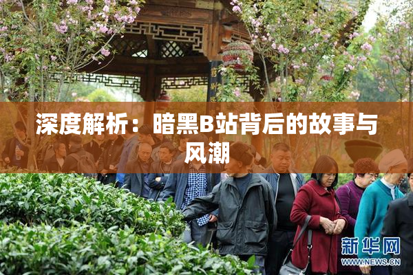 深度解析：暗黑B站背后的故事与风潮
