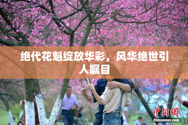 绝代花魁绽放华彩，风华绝世引人瞩目