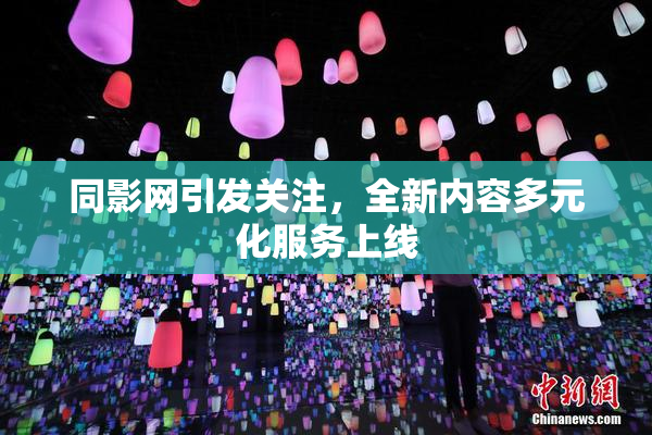 同影网引发关注，全新内容多元化服务上线