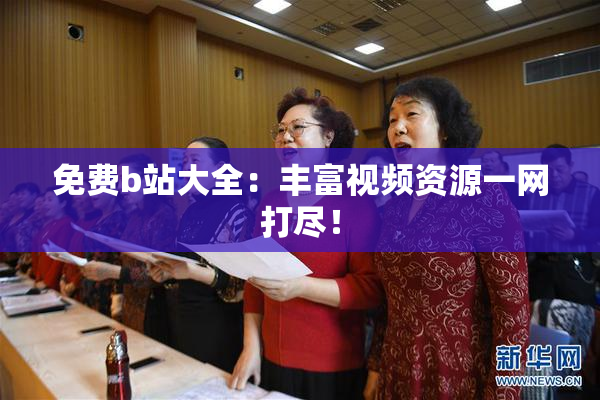 免费b站大全：丰富视频资源一网打尽！