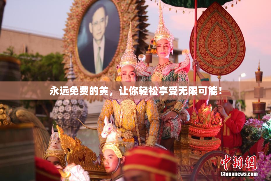 永远免费的黄，让你轻松享受无限可能！