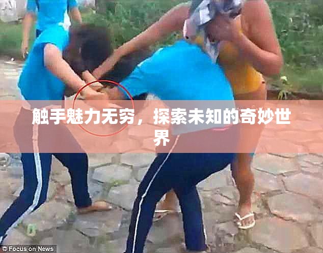 触手魅力无穷，探索未知的奇妙世界