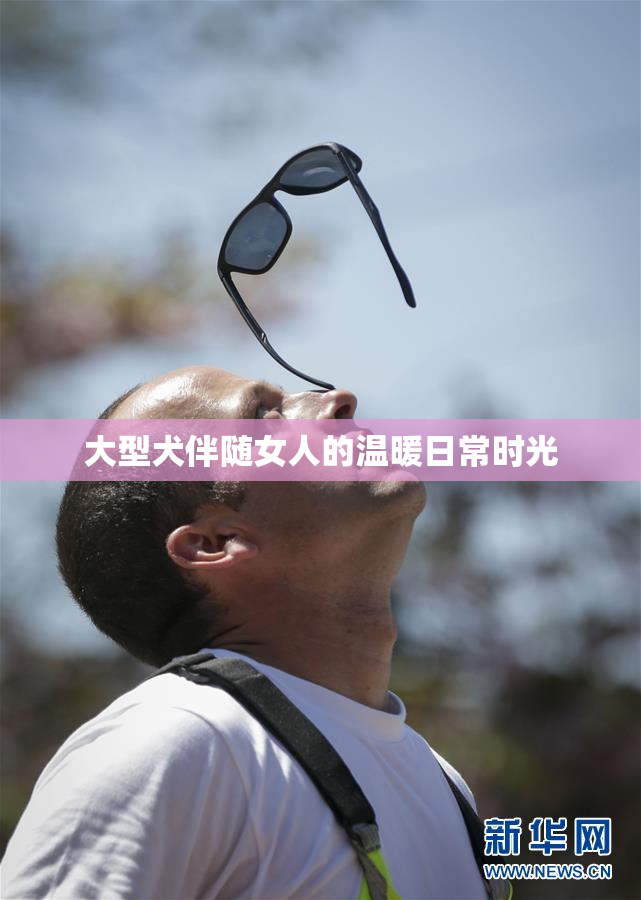 大型犬伴随女人的温暖日常时光