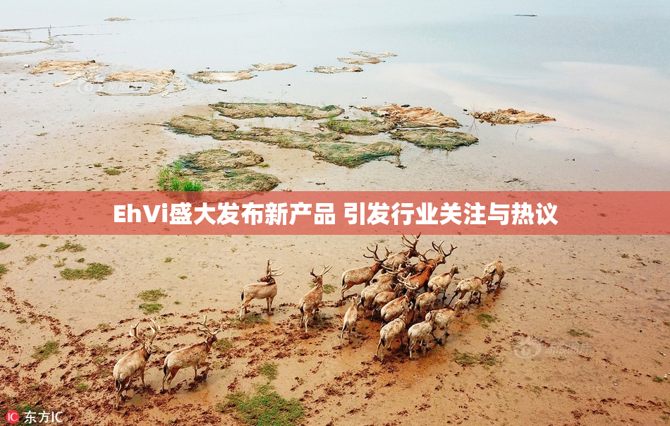 EhVi盛大发布新产品 引发行业关注与热议