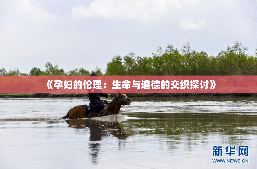 《孕妇的伦理：生命与道德的交织探讨》