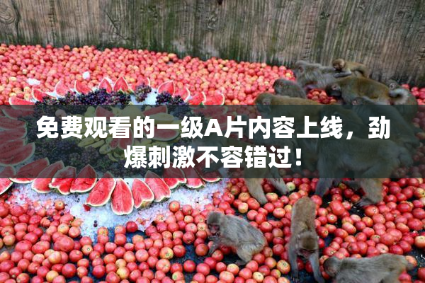 免费观看的一级A片内容上线，劲爆刺激不容错过！
