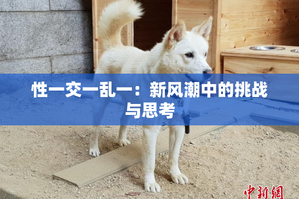 性一交一乱一：新风潮中的挑战与思考