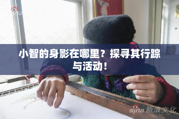 小智的身影在哪里？探寻其行踪与活动！