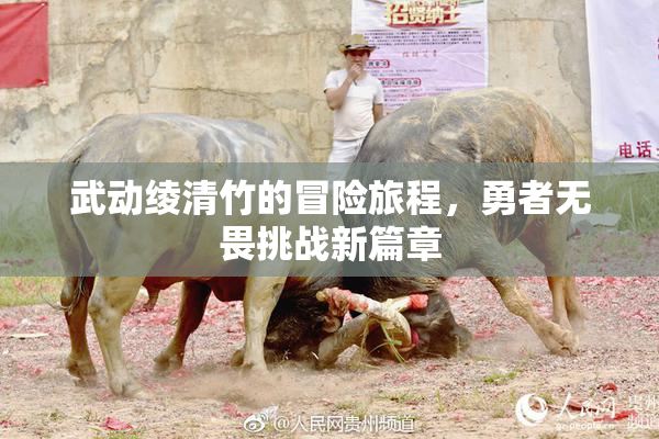 武动绫清竹的冒险旅程，勇者无畏挑战新篇章