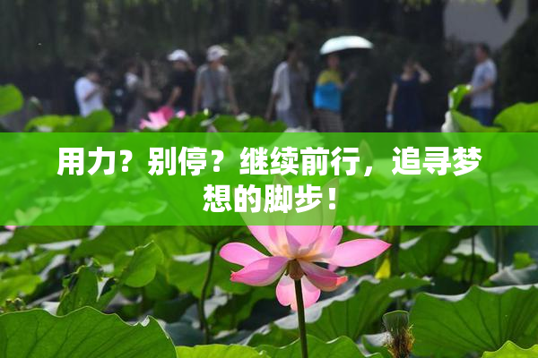 用力？别停？继续前行，追寻梦想的脚步！