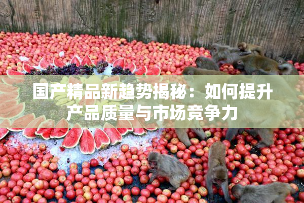 国产精品新趋势揭秘：如何提升产品质量与市场竞争力
