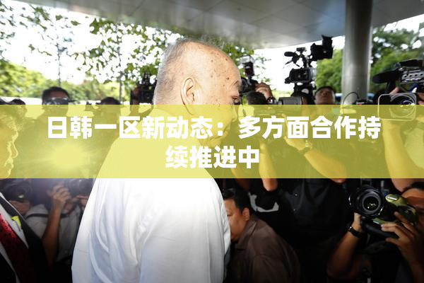 日韩一区新动态：多方面合作持续推进中