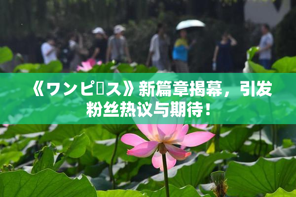 《ワンピース》新篇章揭幕，引发粉丝热议与期待！
