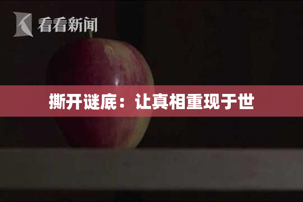 撕开谜底：让真相重现于世