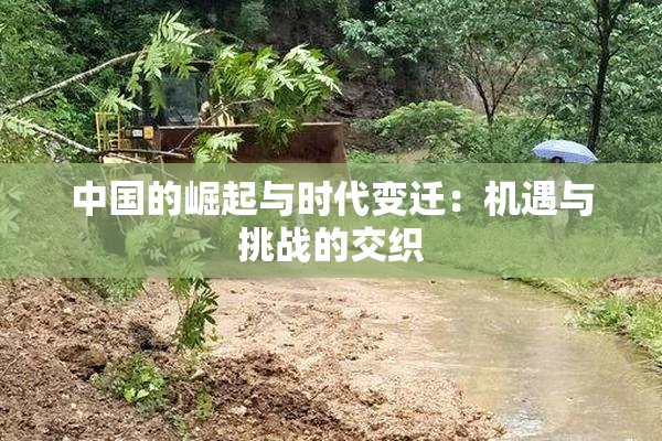 中国的崛起与时代变迁：机遇与挑战的交织