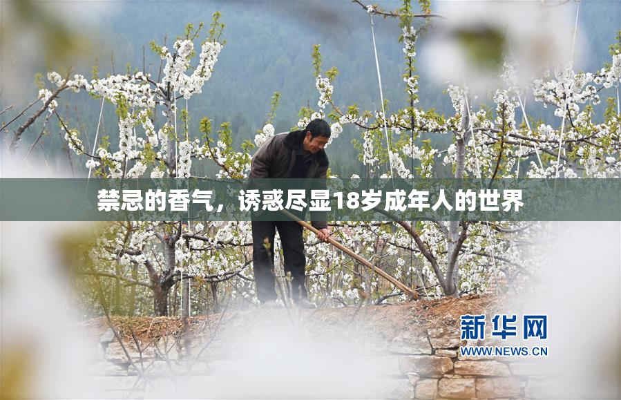 禁忌的香气，诱惑尽显18岁成年人的世界