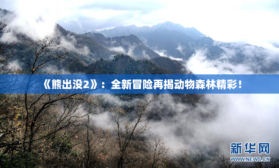 《熊出没2》：全新冒险再揭动物森林精彩！