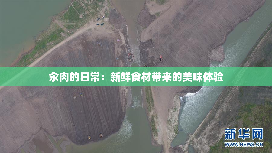 汆肉的日常：新鲜食材带来的美味体验