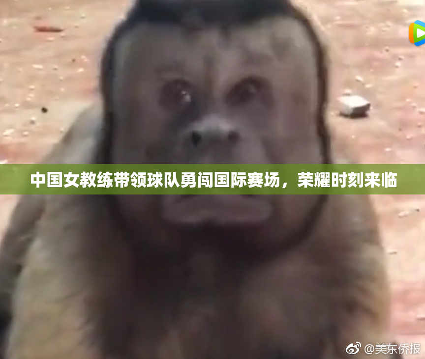 中国女教练带领球队勇闯国际赛场，荣耀时刻来临
