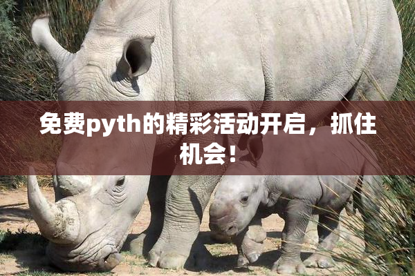 免费pyth的精彩活动开启，抓住机会！