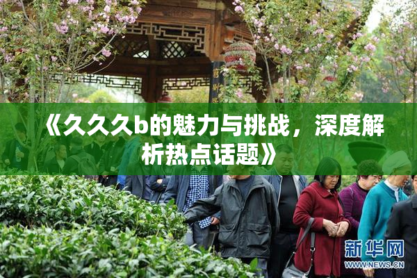 《久久久b的魅力与挑战，深度解析热点话题》