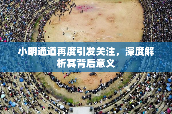 小明通道再度引发关注，深度解析其背后意义