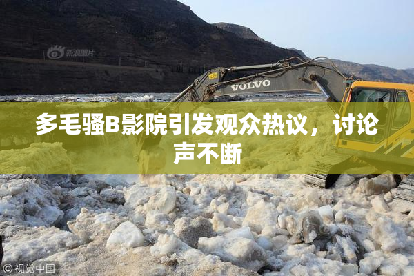 多毛骚B影院引发观众热议，讨论声不断
