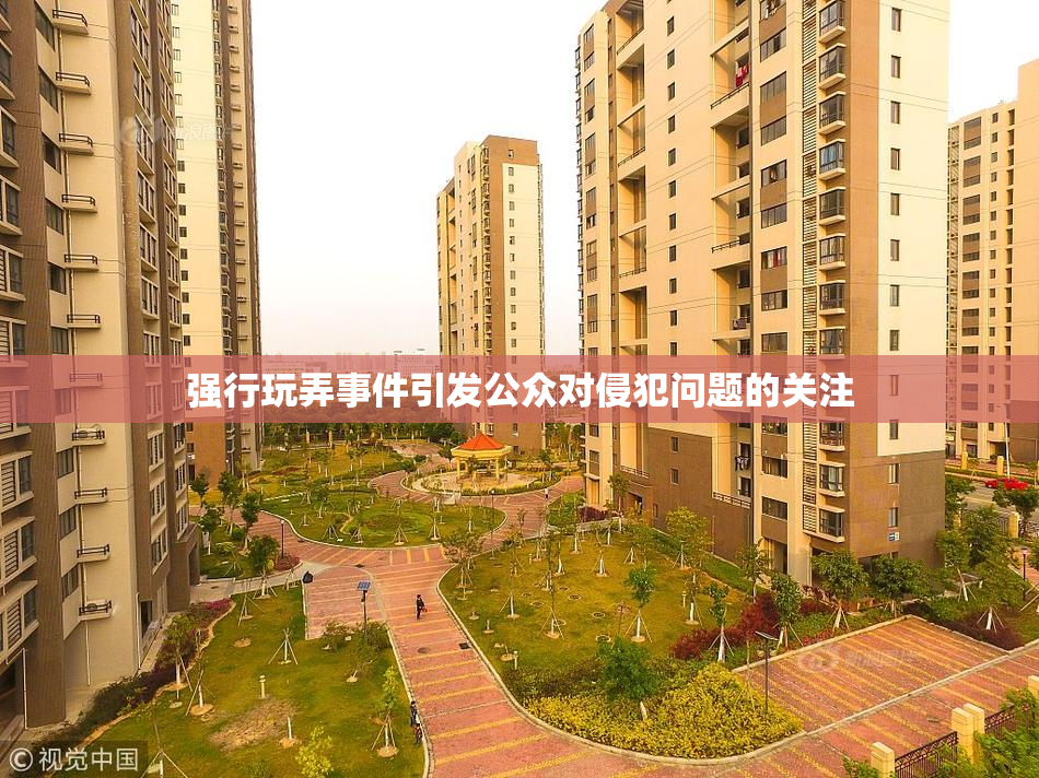 强行玩弄事件引发公众对侵犯问题的关注